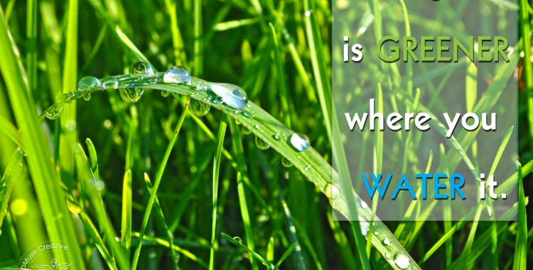 The grass is always greener where you water it.